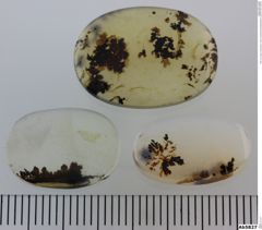 Foto von Quarz (Chalcedon, Achat, Dendritenachat/Mokkastein) (NHMW-MIN-Ab5827)
